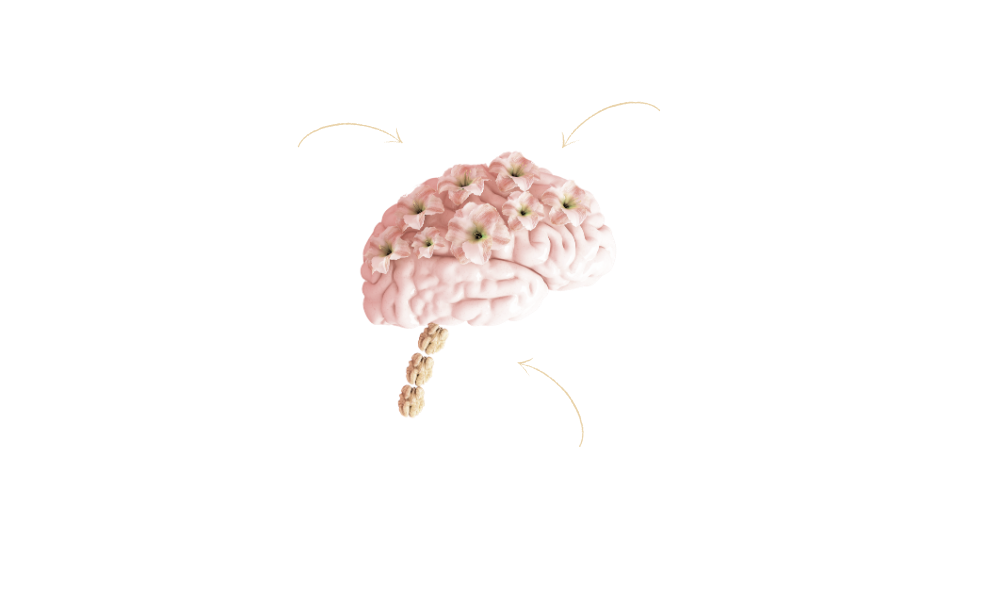 Mindset Metamorphosis Wirkfaktoren